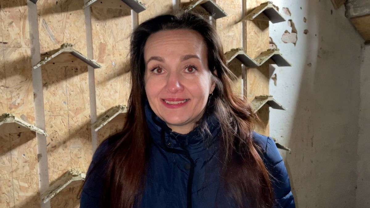 Žena z Budějovic zachraňuje zraněné holuby, ale také snižuje jejich počet